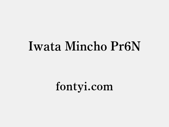 Iwata Mincho Pr6N