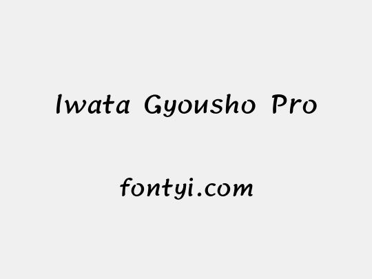 Iwata Gyousho Pro