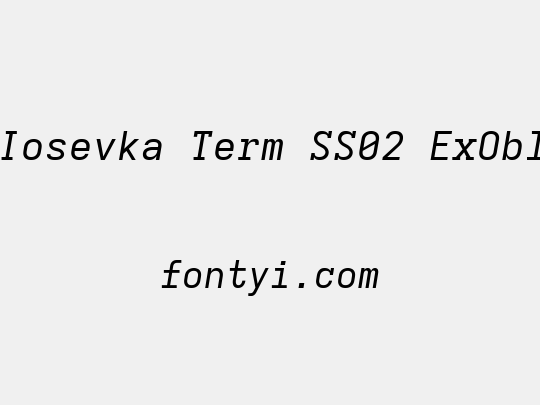 Iosevka Term SS02 ExObl