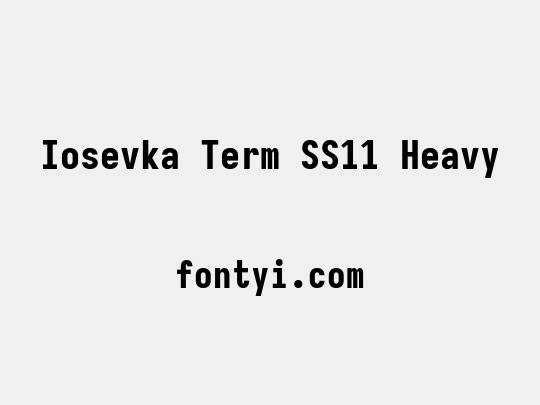 Iosevka Term SS11 Heavy