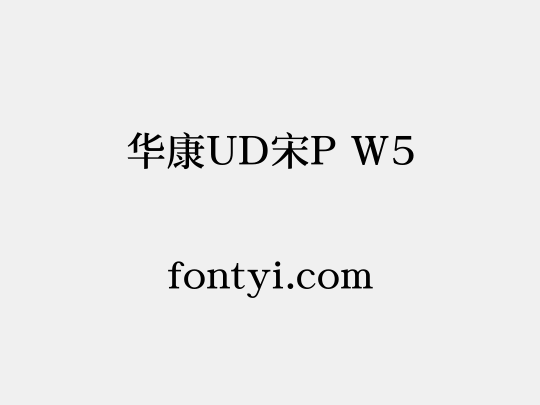 华康UD宋P W5