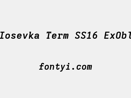 Iosevka Term SS16 ExObl