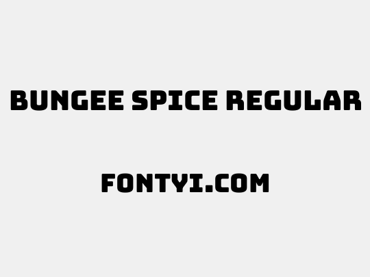 Bungee Spice Regular