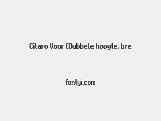 Citaro Voor (Dubbele hoogte, breed)