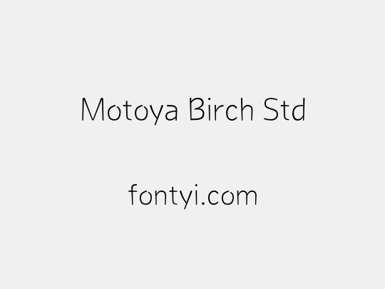 Motoya Birch Std