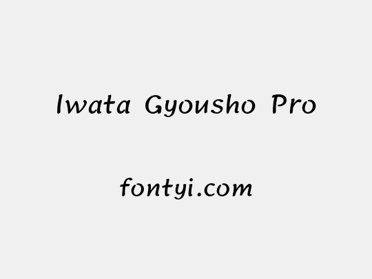 Iwata Gyousho Pro